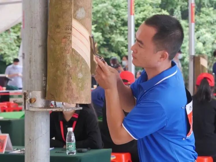 1701917994632020314.jpg 1701917994632020314.jpg