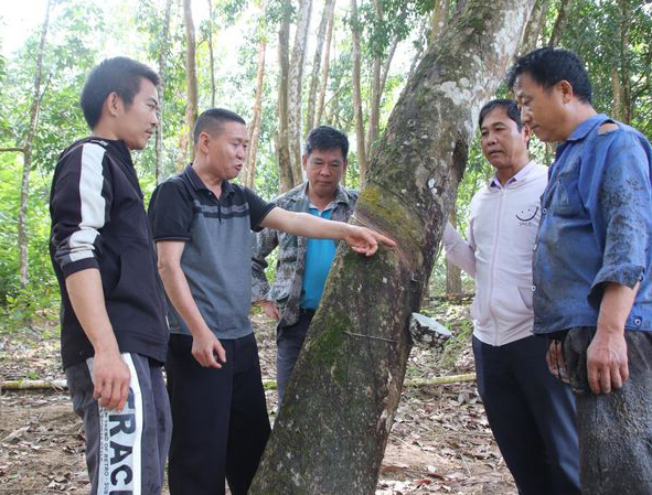 1704243965709029838.jpg 微信圖片_20240103090420.jpg