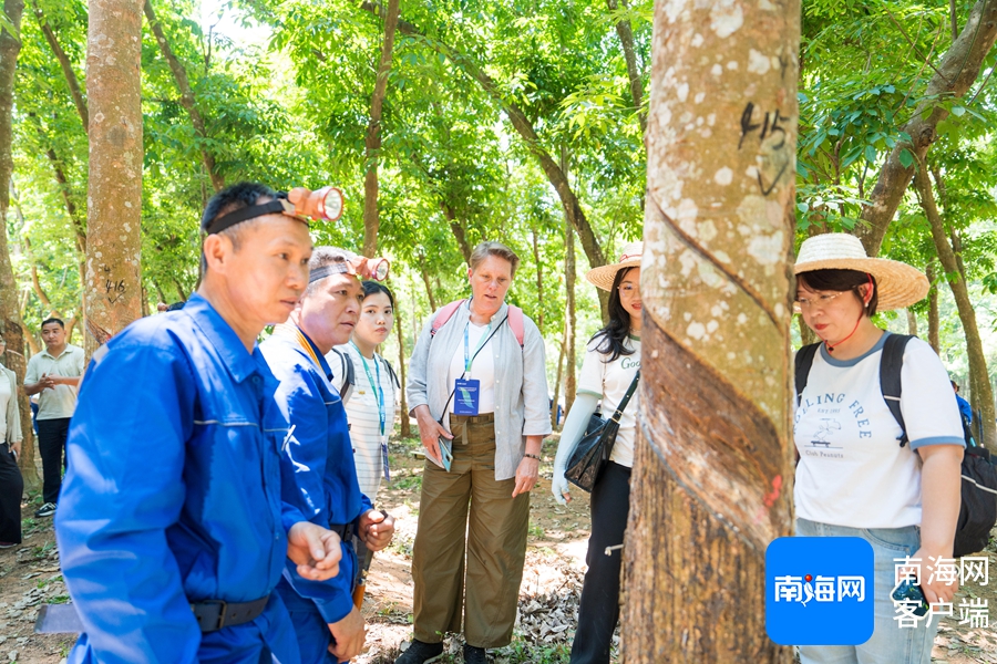 1745455862553031774.jpg 1745455862553031774.jpg