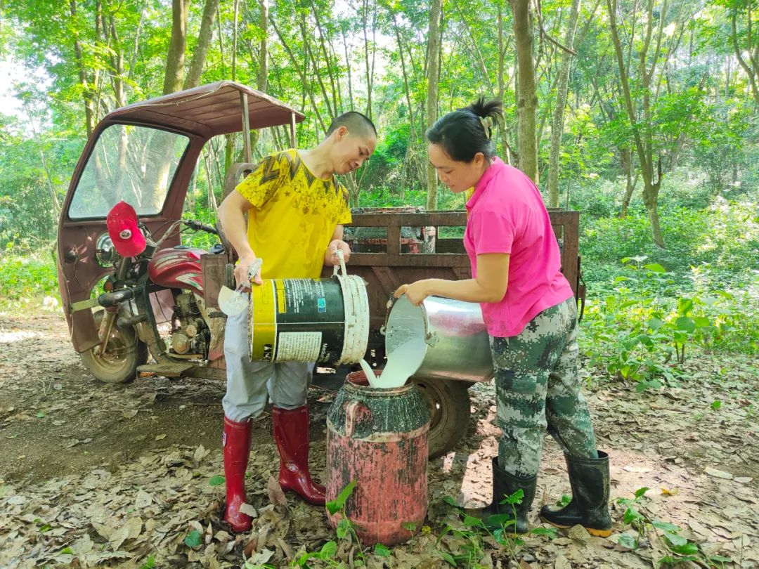 1747733816840077230.jpg 1747733816840077230.jpg