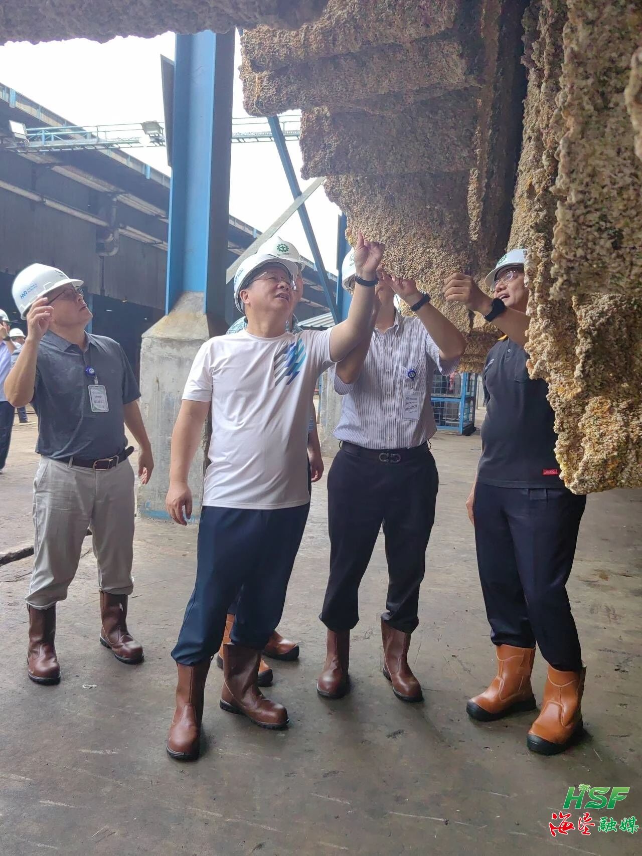 包洪文一行調(diào)研合盛農(nóng)業(yè)SGO加工廠。